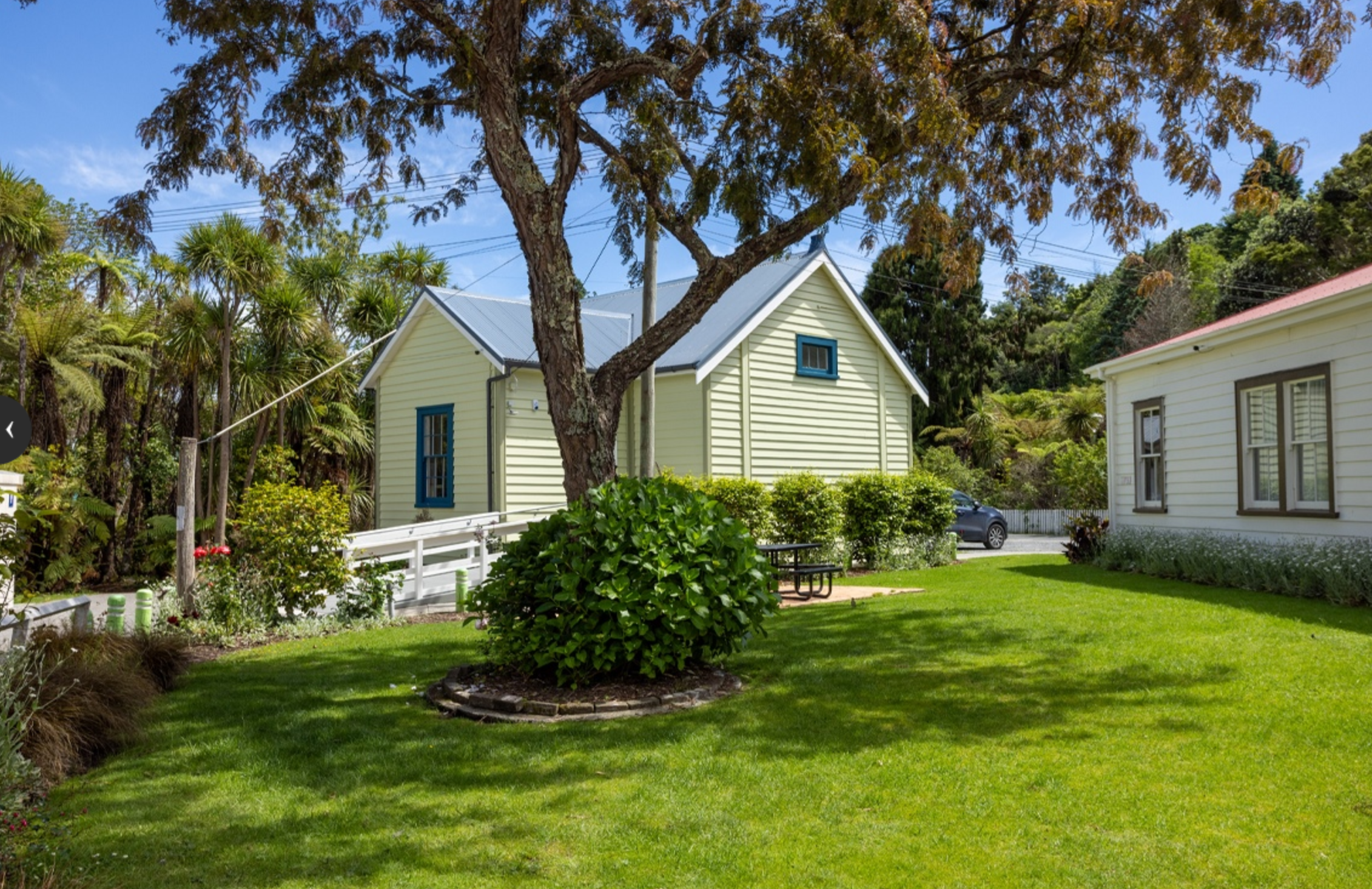 Tauranga Showcase Day